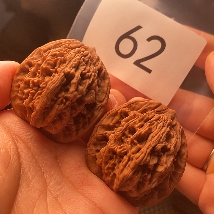 核桃62号全品麦虎