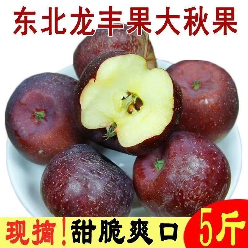 东北龙丰果中大果含箱整重5斤包邮