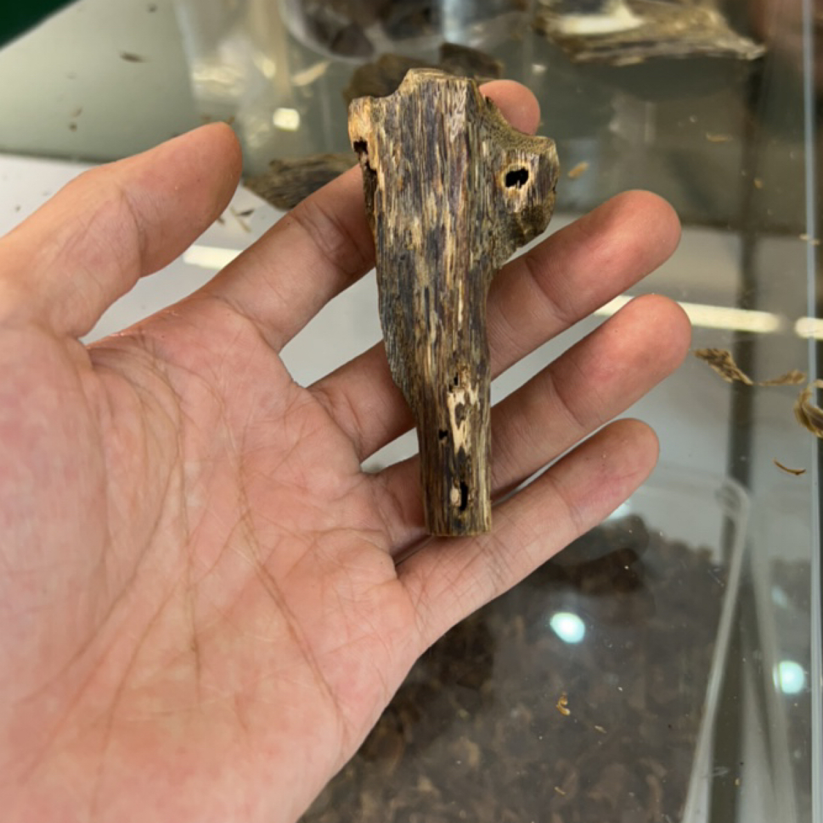 老料淳化熏香虫漏9克