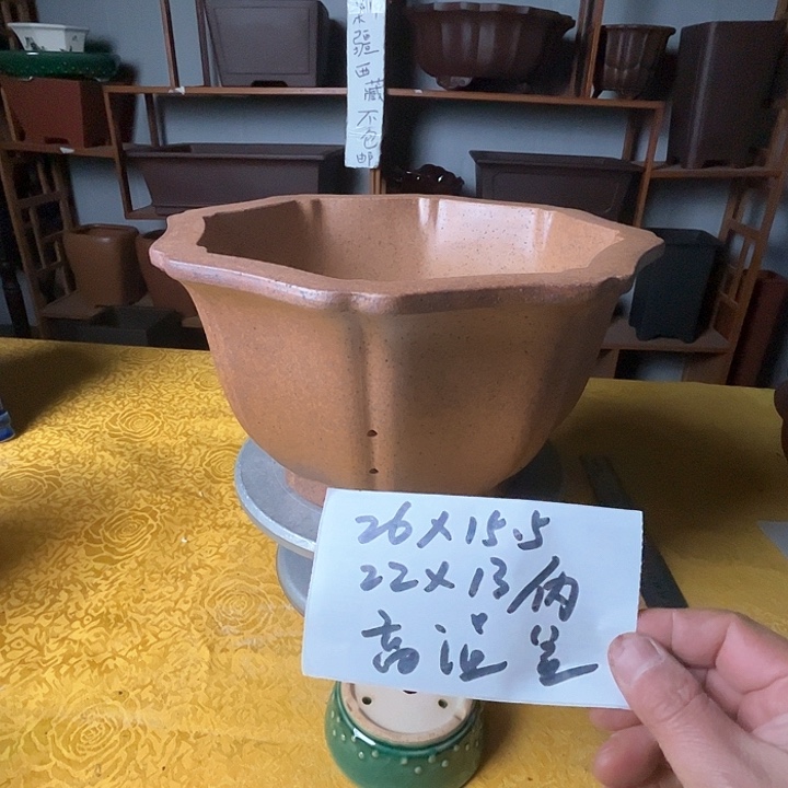 紫砂花盆紫砂花盆