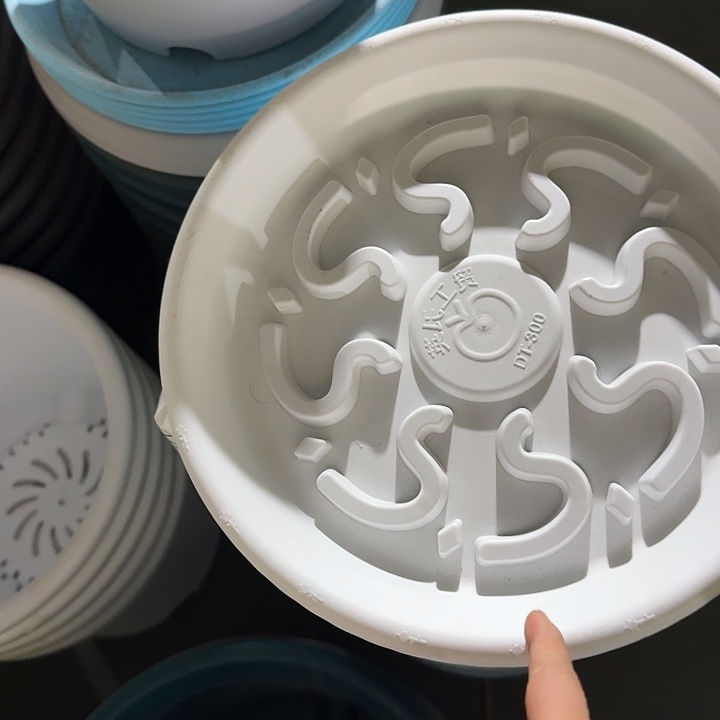 300托盘纯白纯白10个