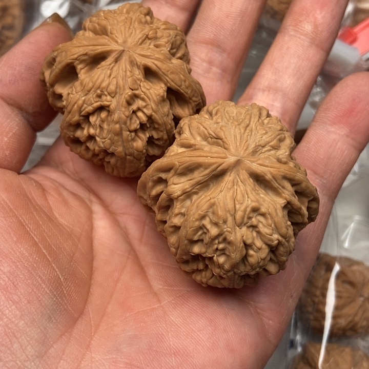 설*걸粗筋8888888888