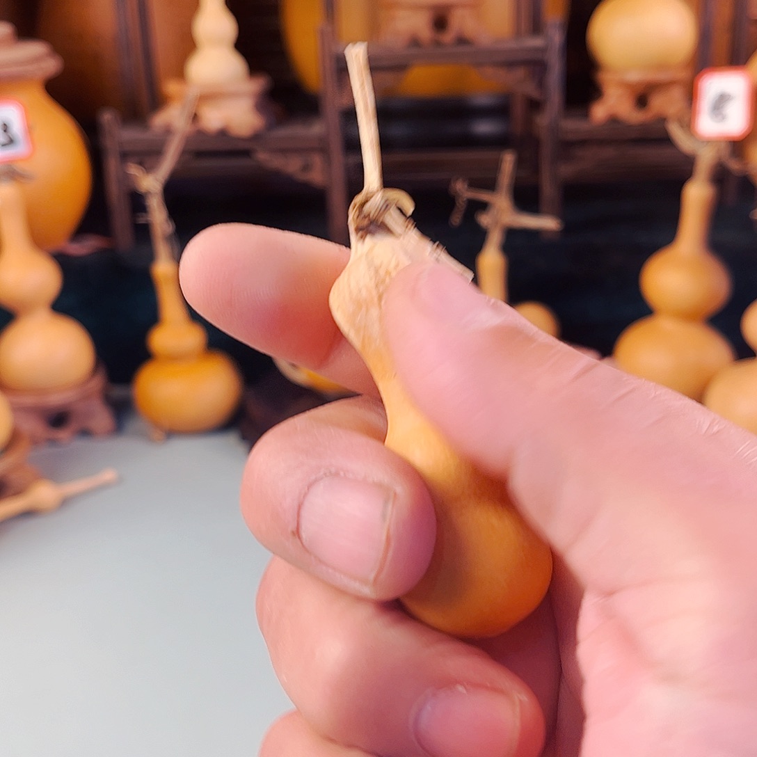 把***坏大叶紫檀（黑酸枝木类）