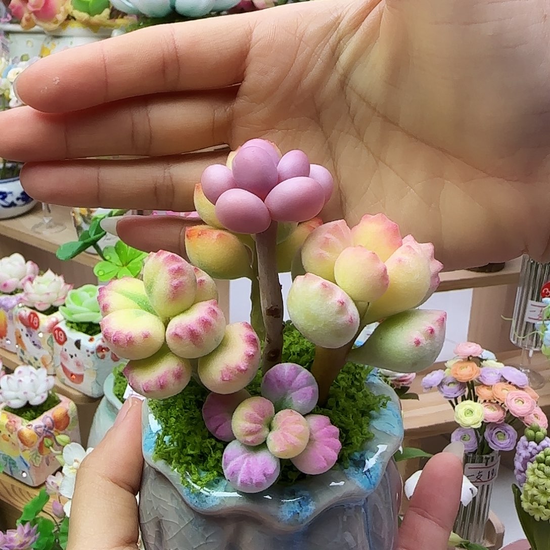 博***o专拍，不退不换！！！