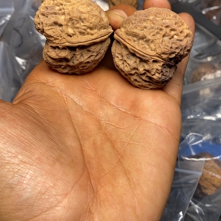 文玩核桃把件正文铁核桃13号