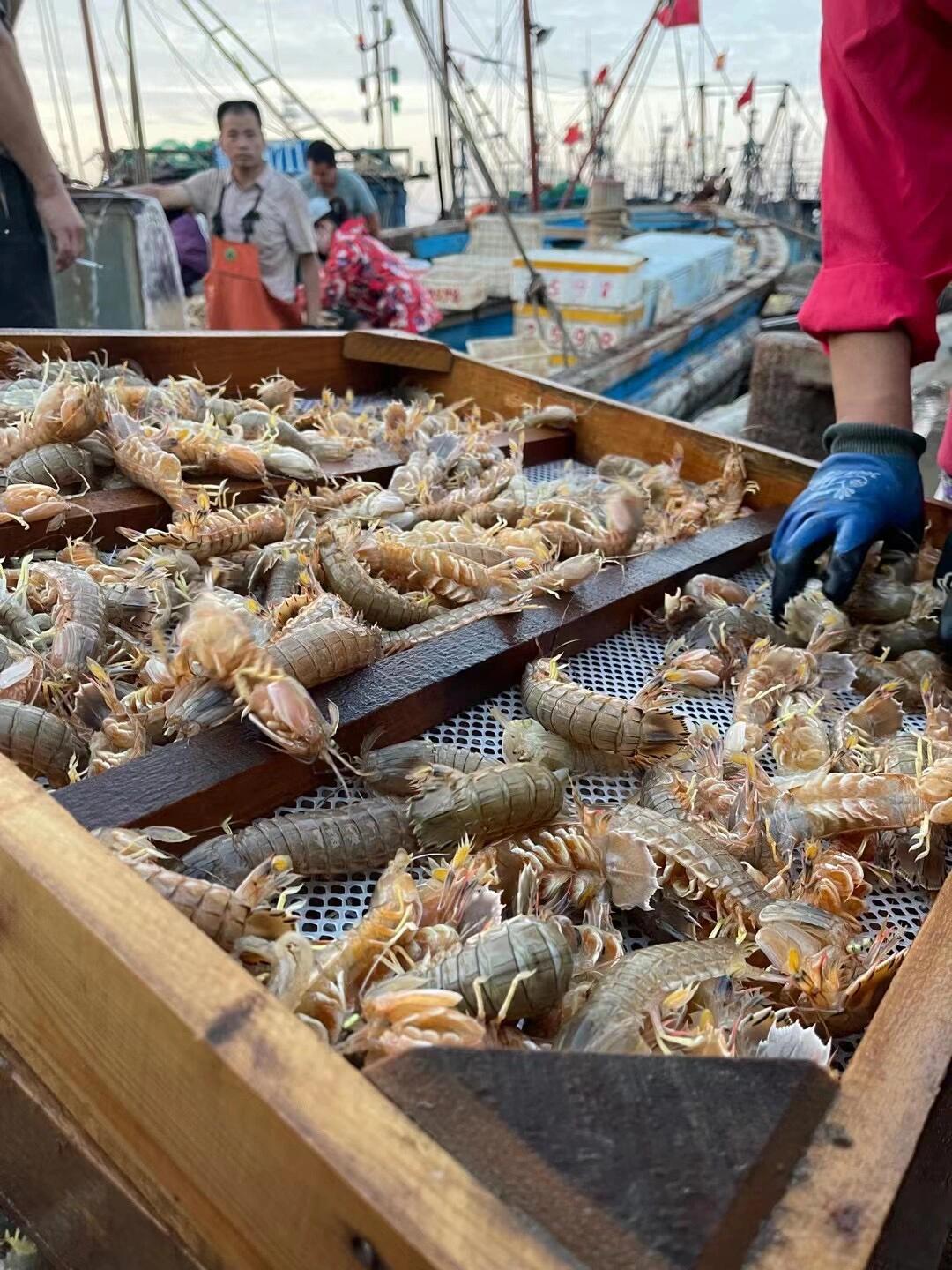 漳州六鳌本港海捕（各类海鲜）3斤起拍 以直播间现称商品为准比目鱼