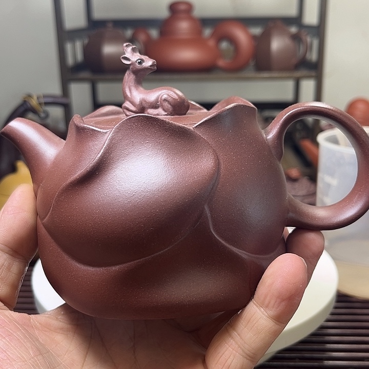 12233456666666 11233456678899