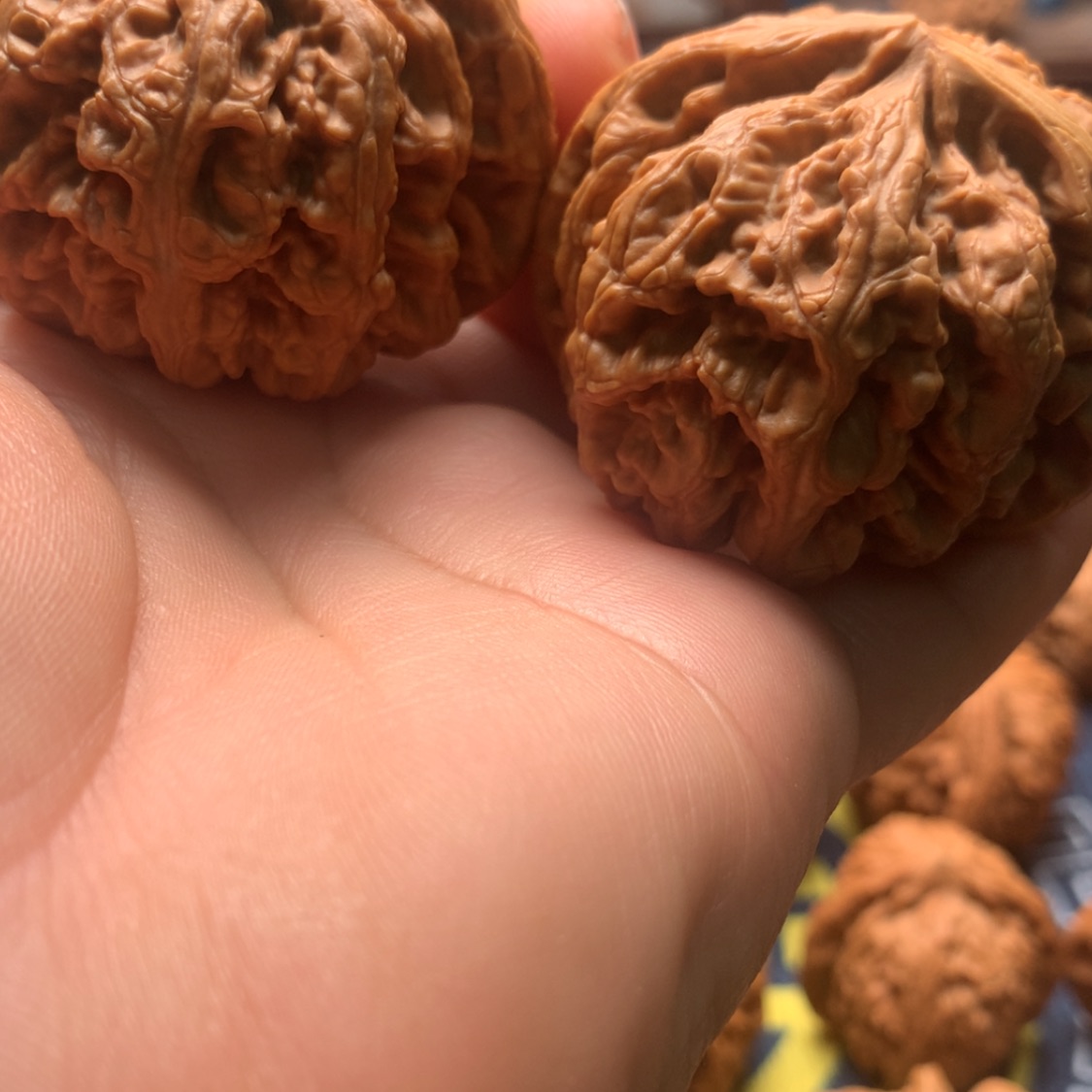 【闪购商品】把件文玩核桃图**。粗筋48