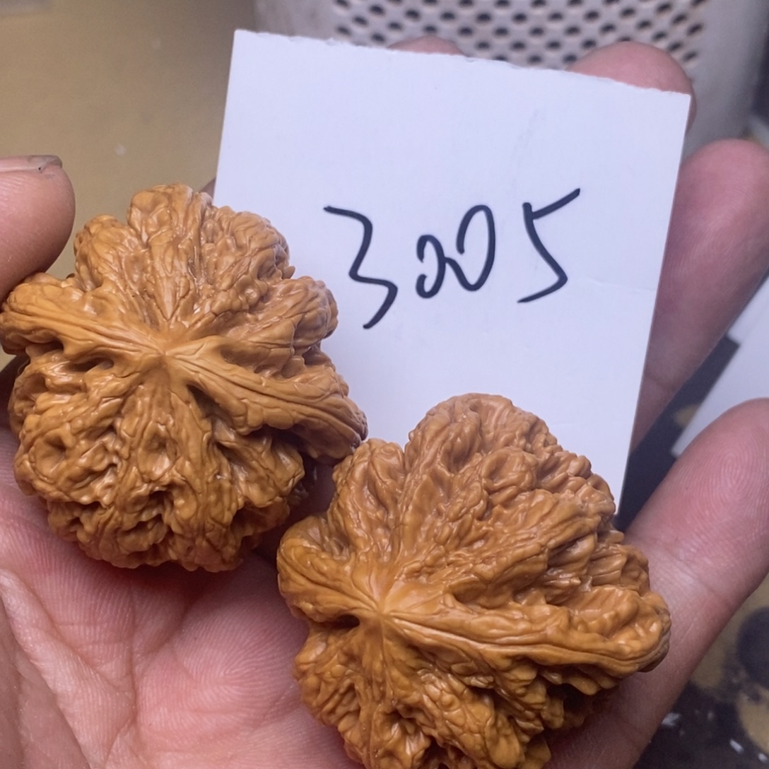 核桃大粗筋尺寸42