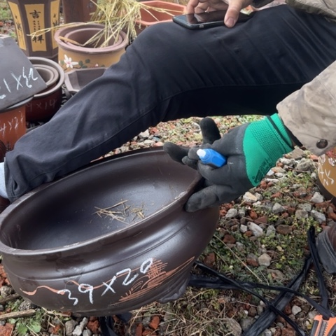 红陶紫砂花盆盆景盆栽