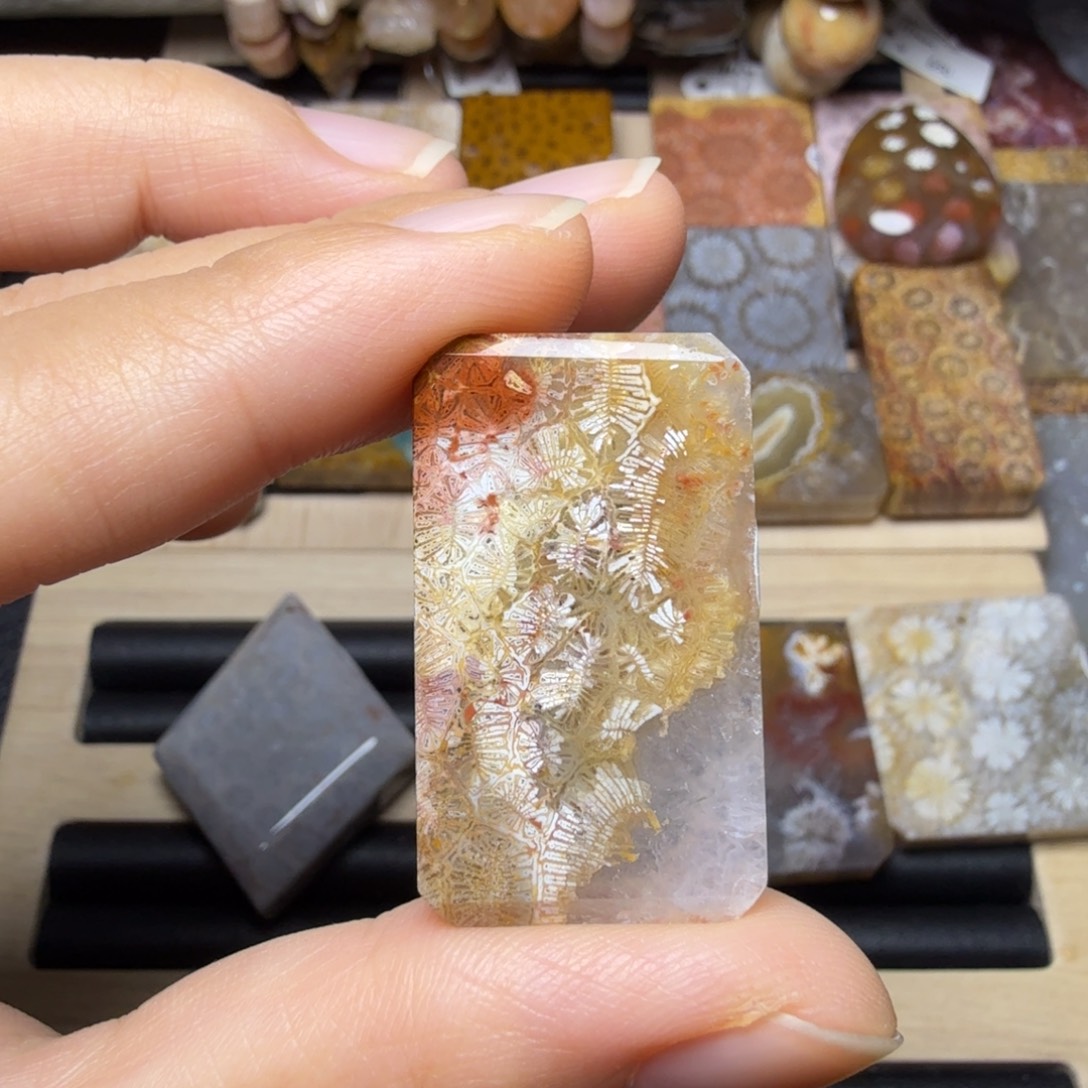 硅化玉未镶嵌好美的共生