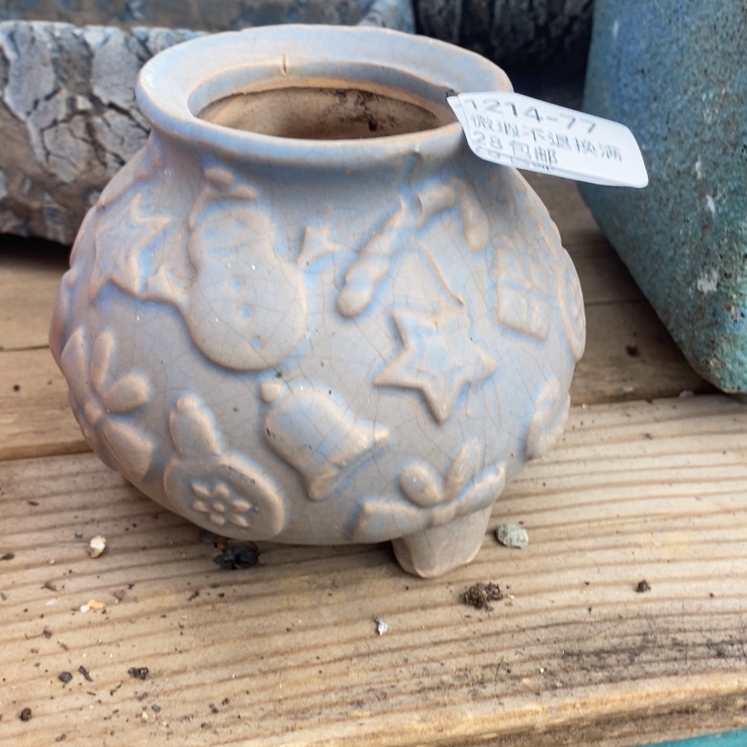 77号多肉盆口径5小可爱