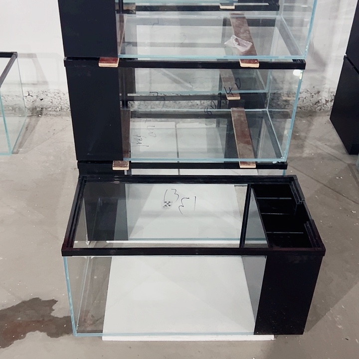 猫****玻璃80.40.40背双进双出