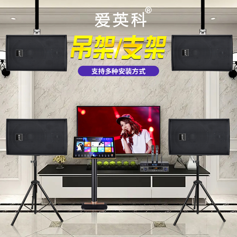 爱英科专业12寸家庭影院卡拉OK酒吧音响套装