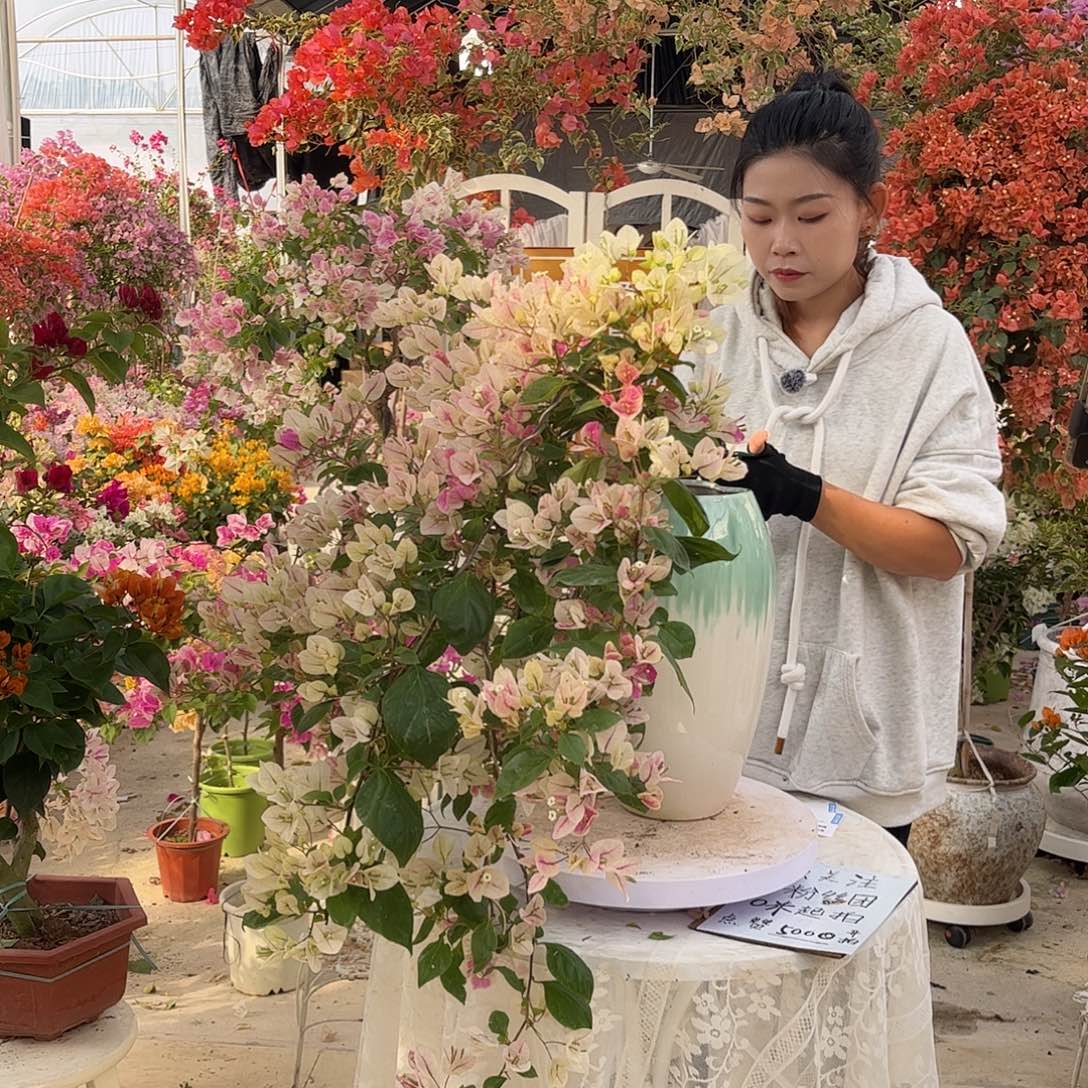 完全开放001，1111111