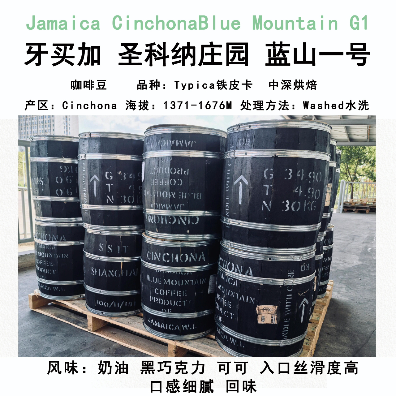 25年新产季 稀有黑桶蓝山1号 圣科纳庄园豆子/挂耳 中度