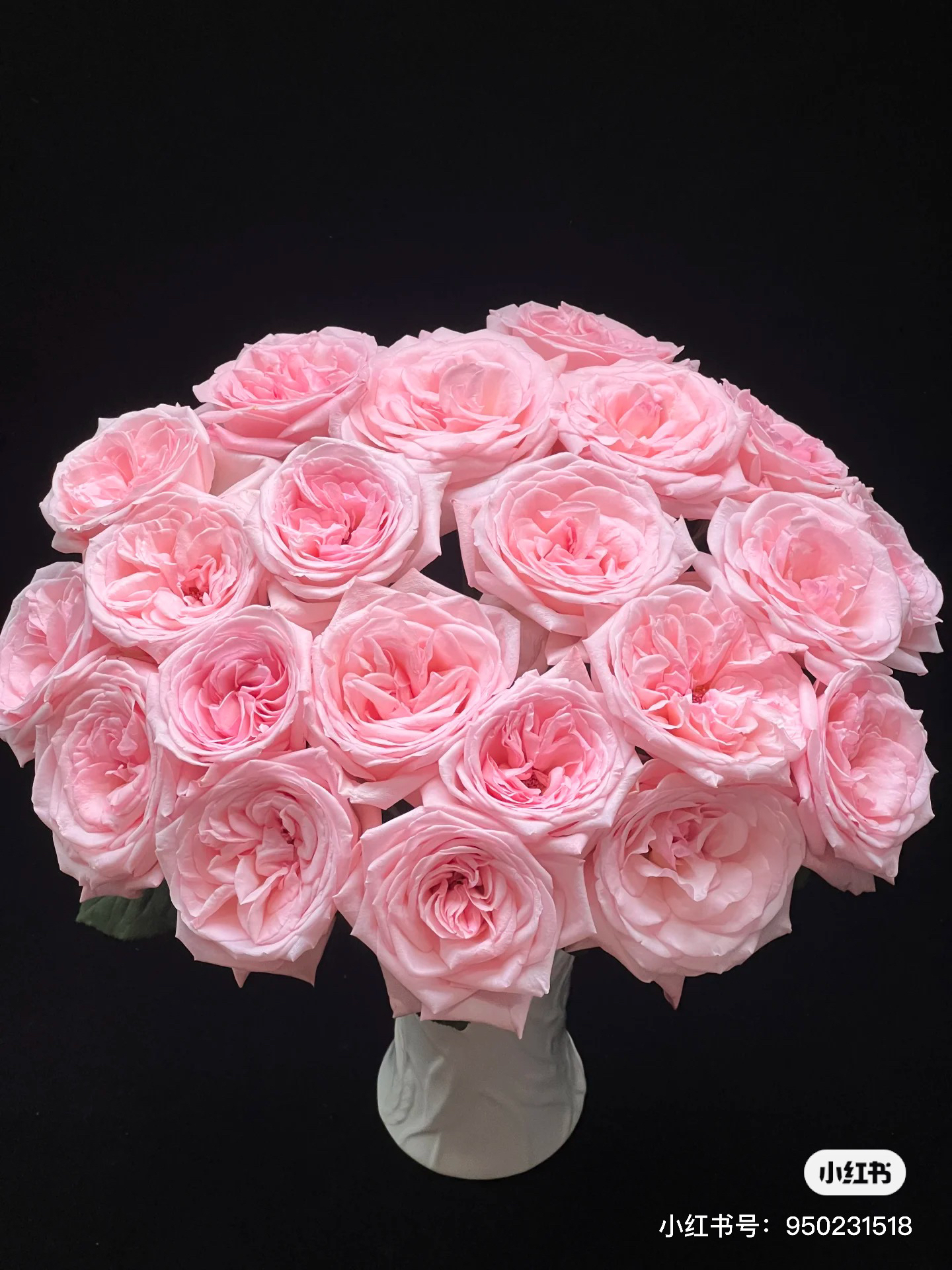 【好物鲜花】粉荔枝玫瑰 有香味两单顺丰