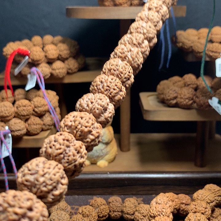 金刚菩提手串古龙老树蜂窝梅花蜂王21mm➕