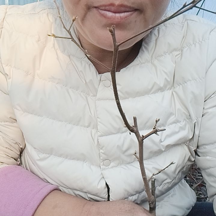 闲***步无花朵45324456548858