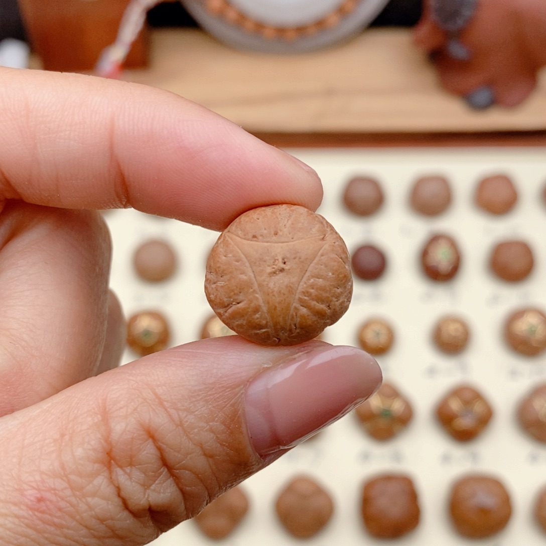 龙眼菩提吊坠龙眼