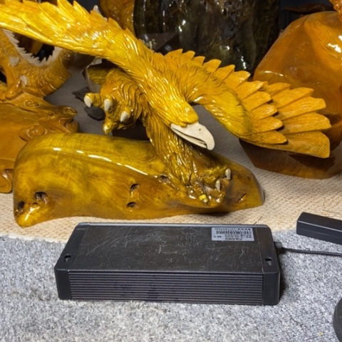 金丝楠大展宏图的