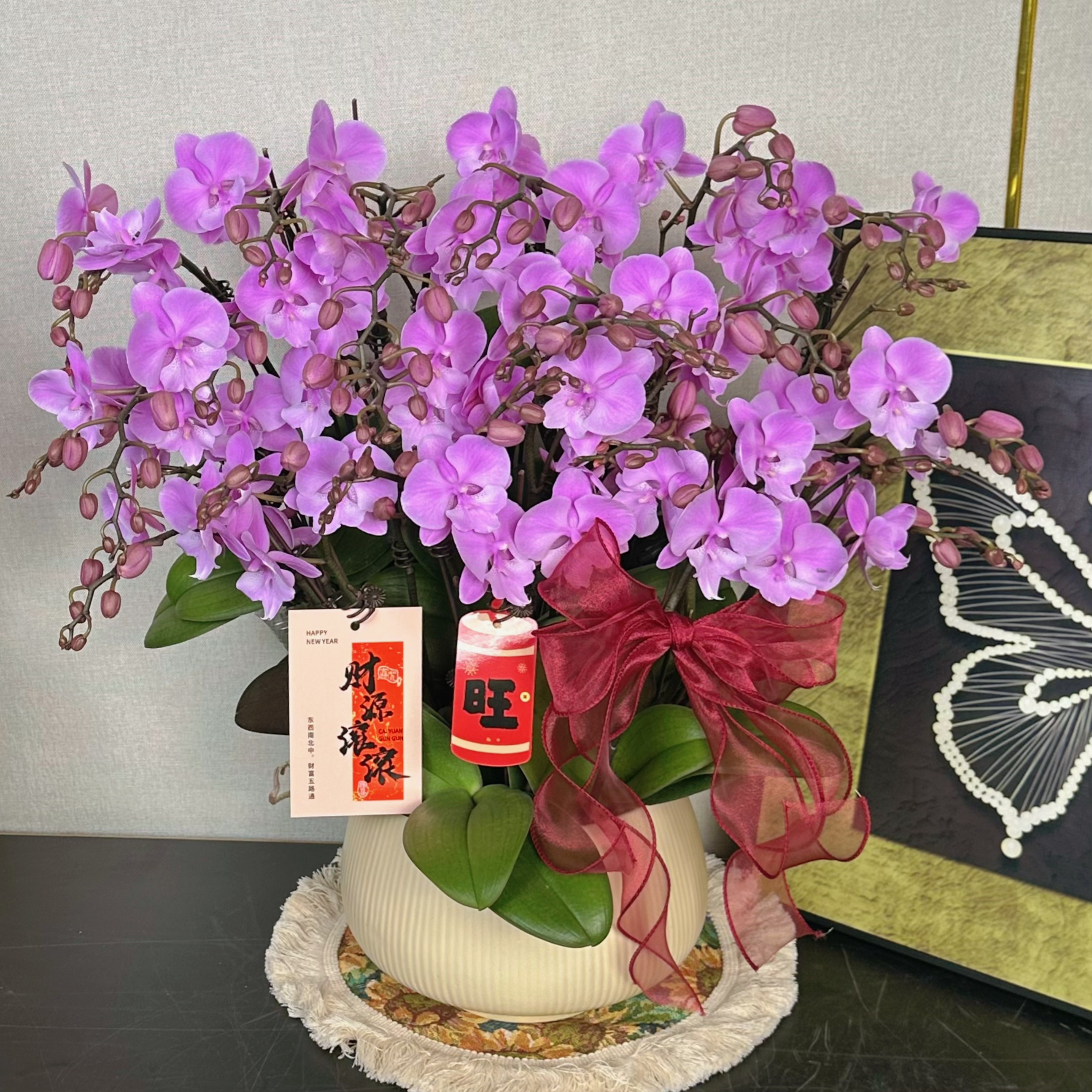 南汐蝴蝶兰【禹城王子】年宵花乔 迁之喜 带花带花苞发货好养花期长