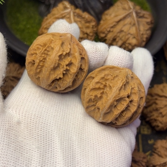 把件文玩核桃秦岭核桃10