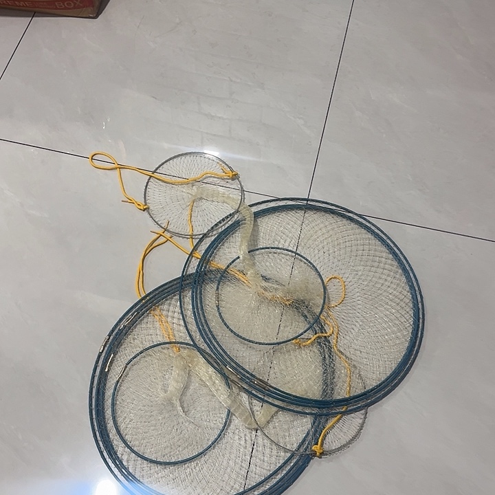 随机发两个鱼护111111