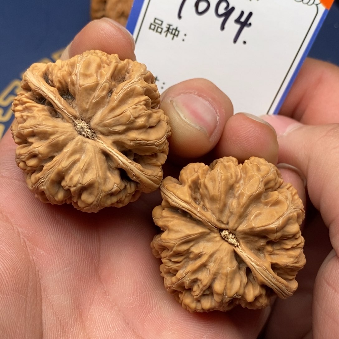 文玩核桃把件粗筋094