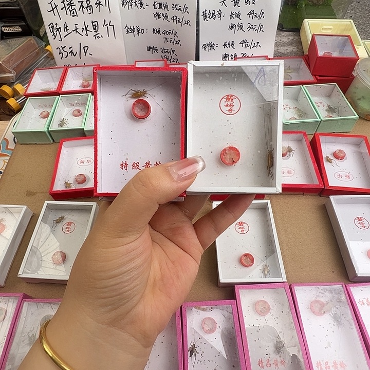 断须3只，黄老师大黄一只……海