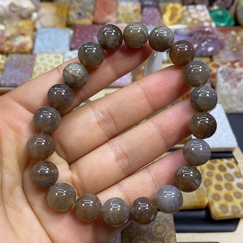 【闪购商品】硅化珊瑚（珊瑚玉）颈饰未镶嵌K98