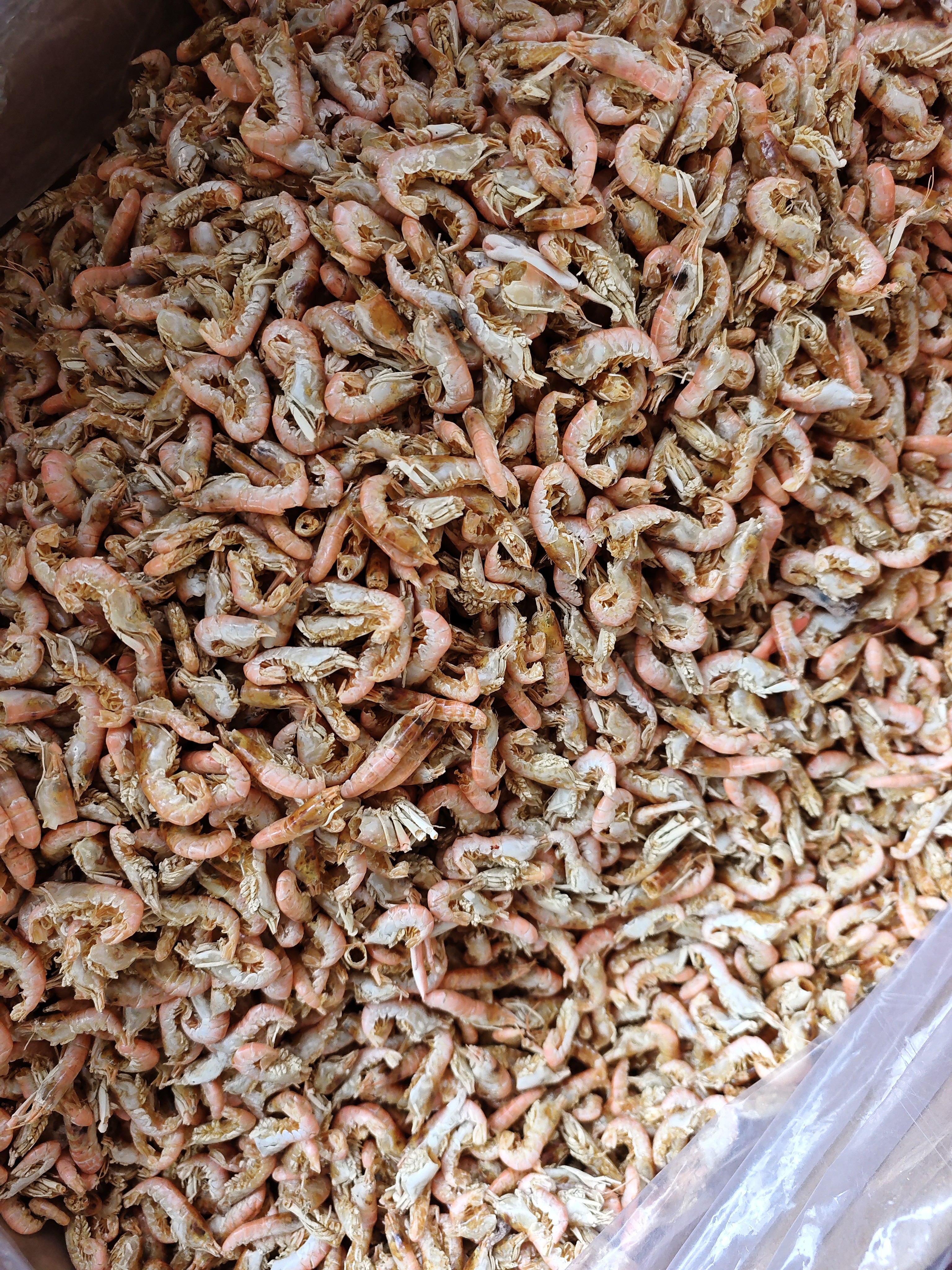 [同源南滇] 虾干