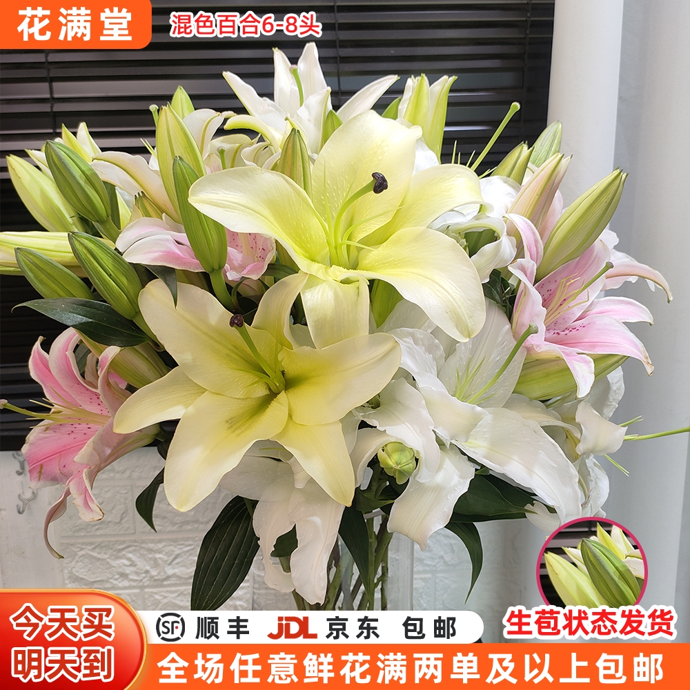 特价【次日达·五彩香水百合】混色百合6-8头·全场两单鲜花顺丰包邮·基地直发·批发·家居花DIY·次日达