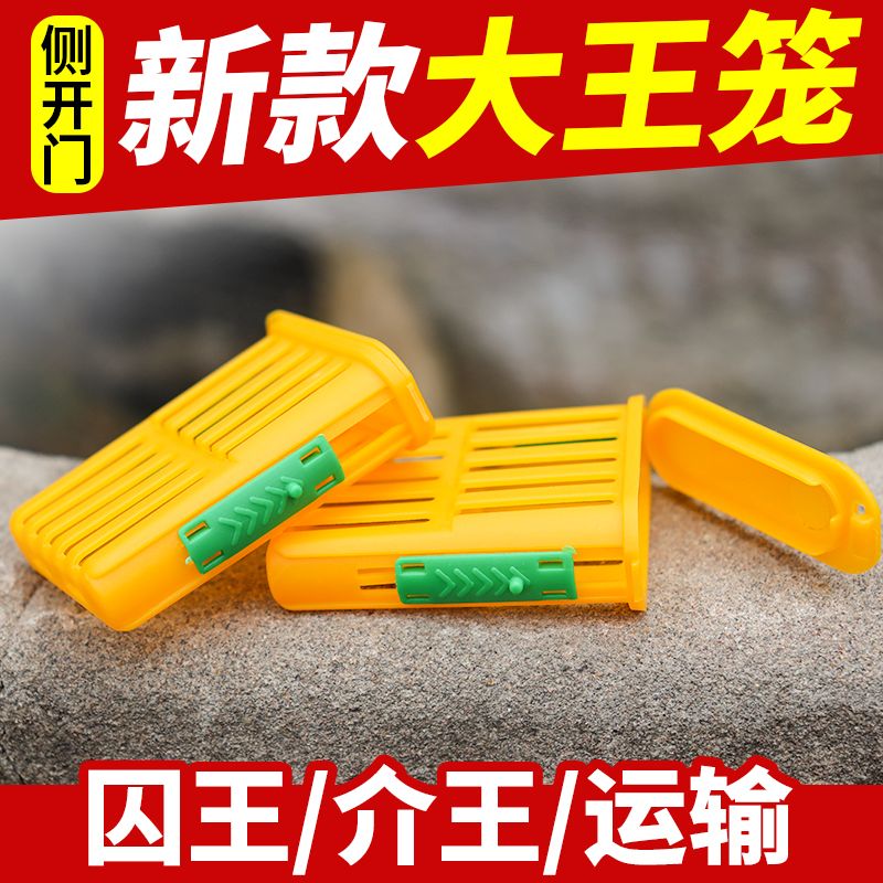 中蜂囚王笼多功能塑料王笼养蜂介王笼邮寄王笼专用意蜂囚王笼批发