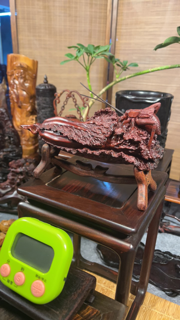 小叶紫檀白菜白菜