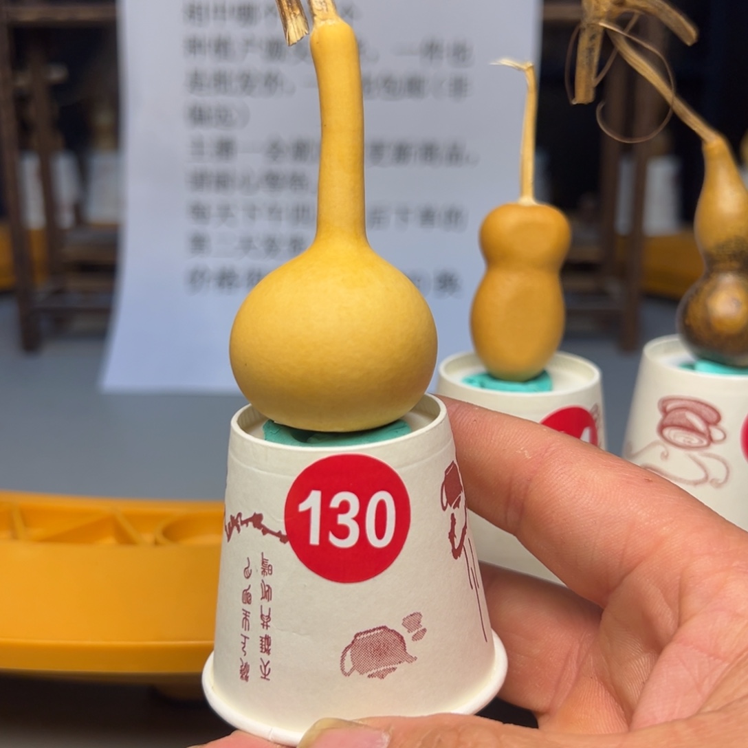 闪电购自助下单编号130