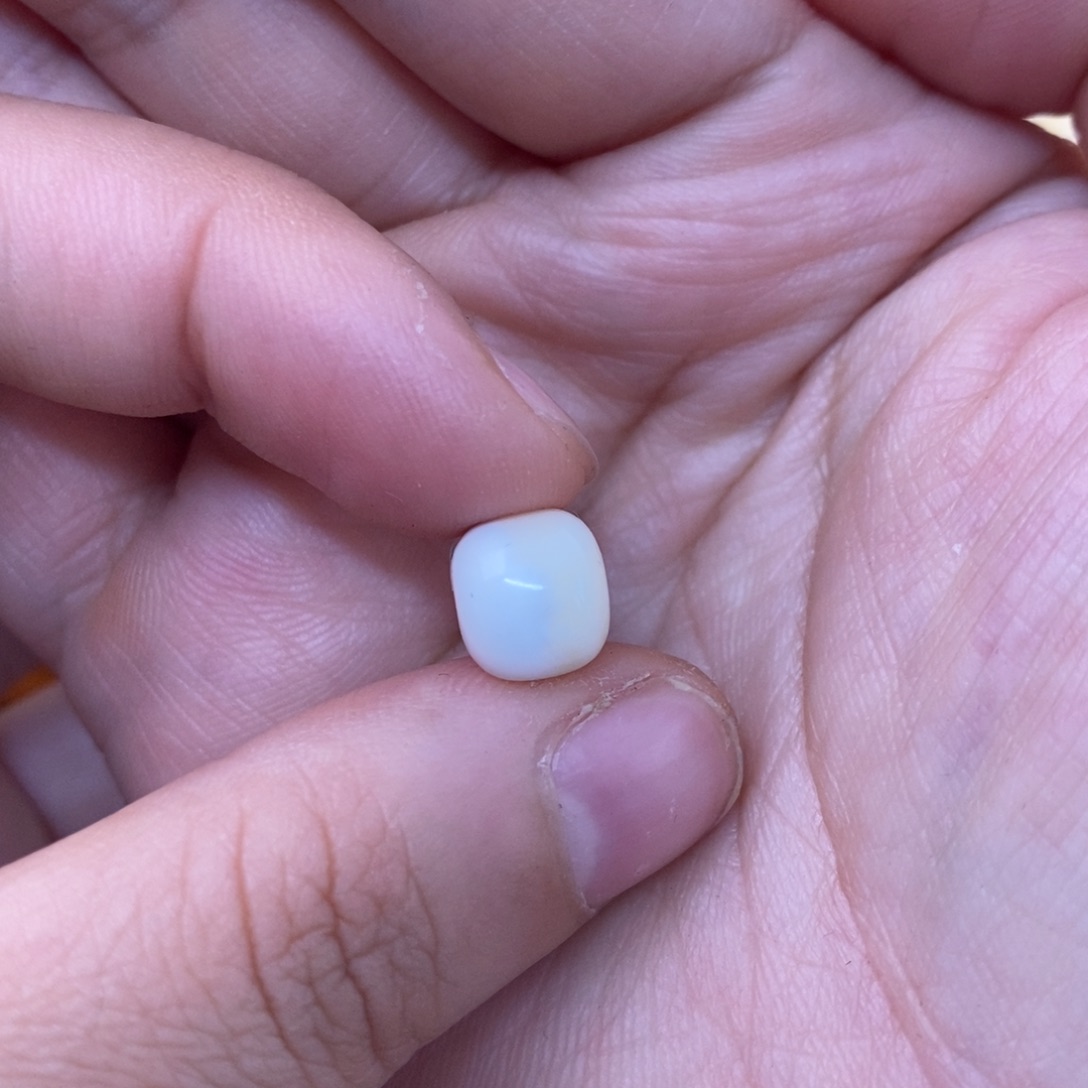 裸石琥珀未镶嵌榴**臭蜜蜡