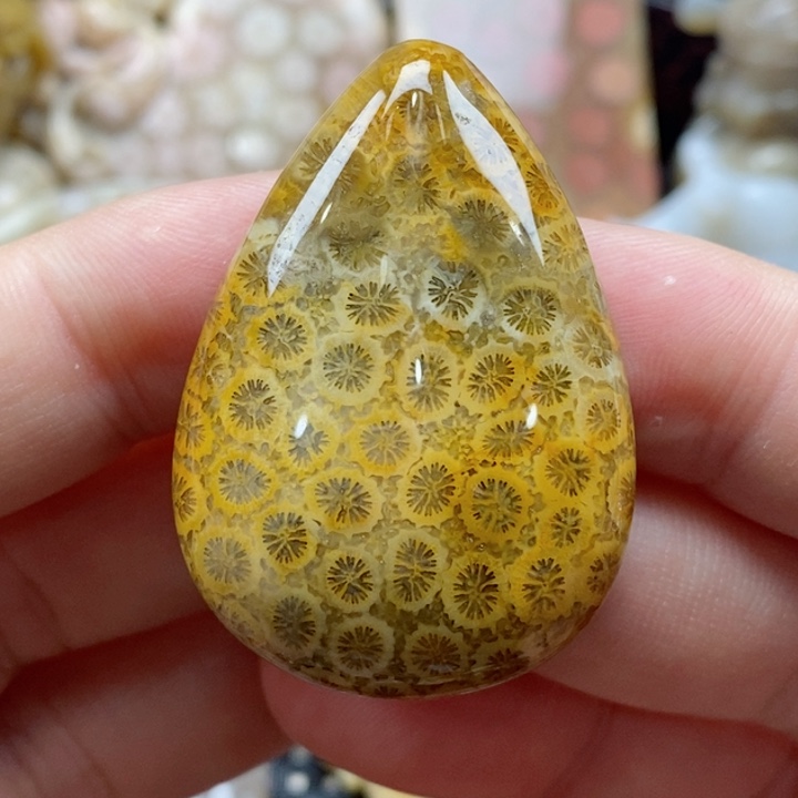 硅化珊瑚（珊瑚玉）颈饰未镶嵌