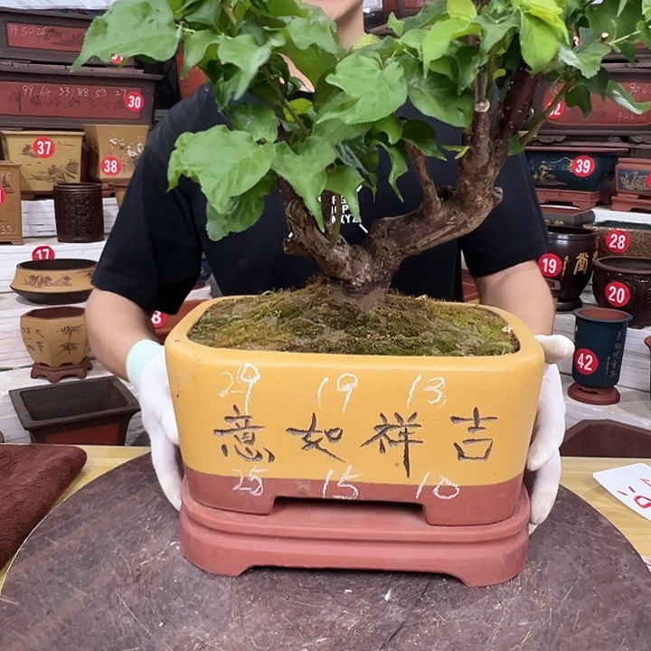 精品紫砂工厂直发