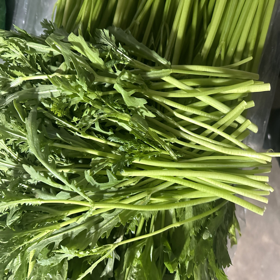 茼蒿3斤（包邮）只卖辽宁省内