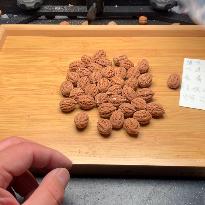 星***辰吊坠文玩核桃野生精品小核桃散籽