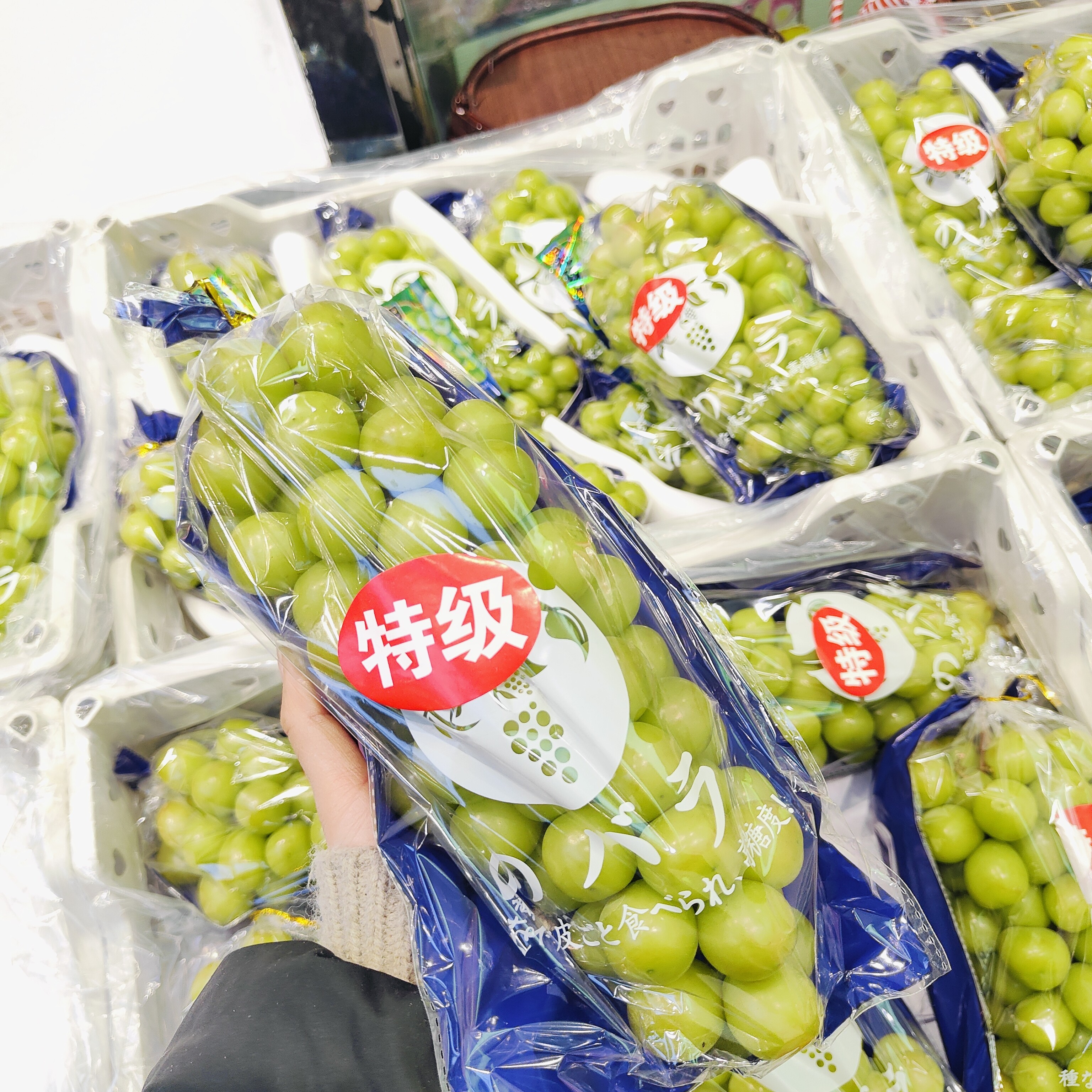 北安特级晴王葡萄