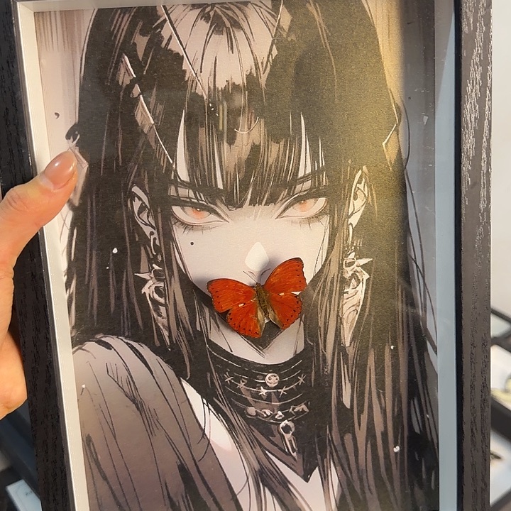 357蝴蝶蝴蝶蝴蝶蝴蝶