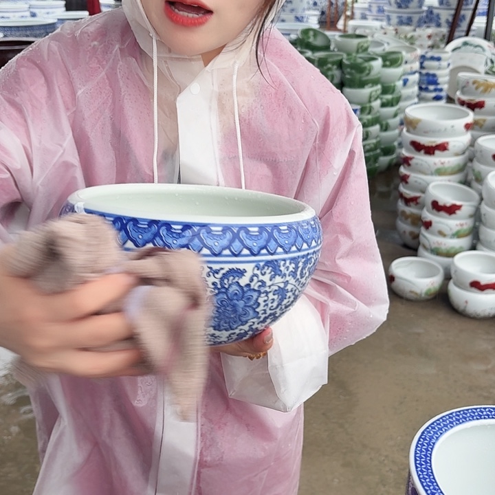 瓷片直径23厘米高13……