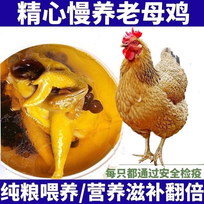 麻羽半斤左右发货【礼盒装】