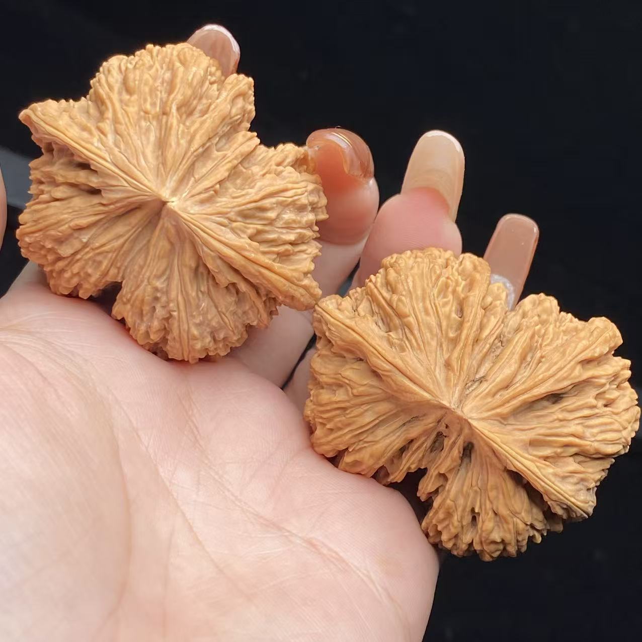 【南疆石连体】涞水文玩核桃50尺