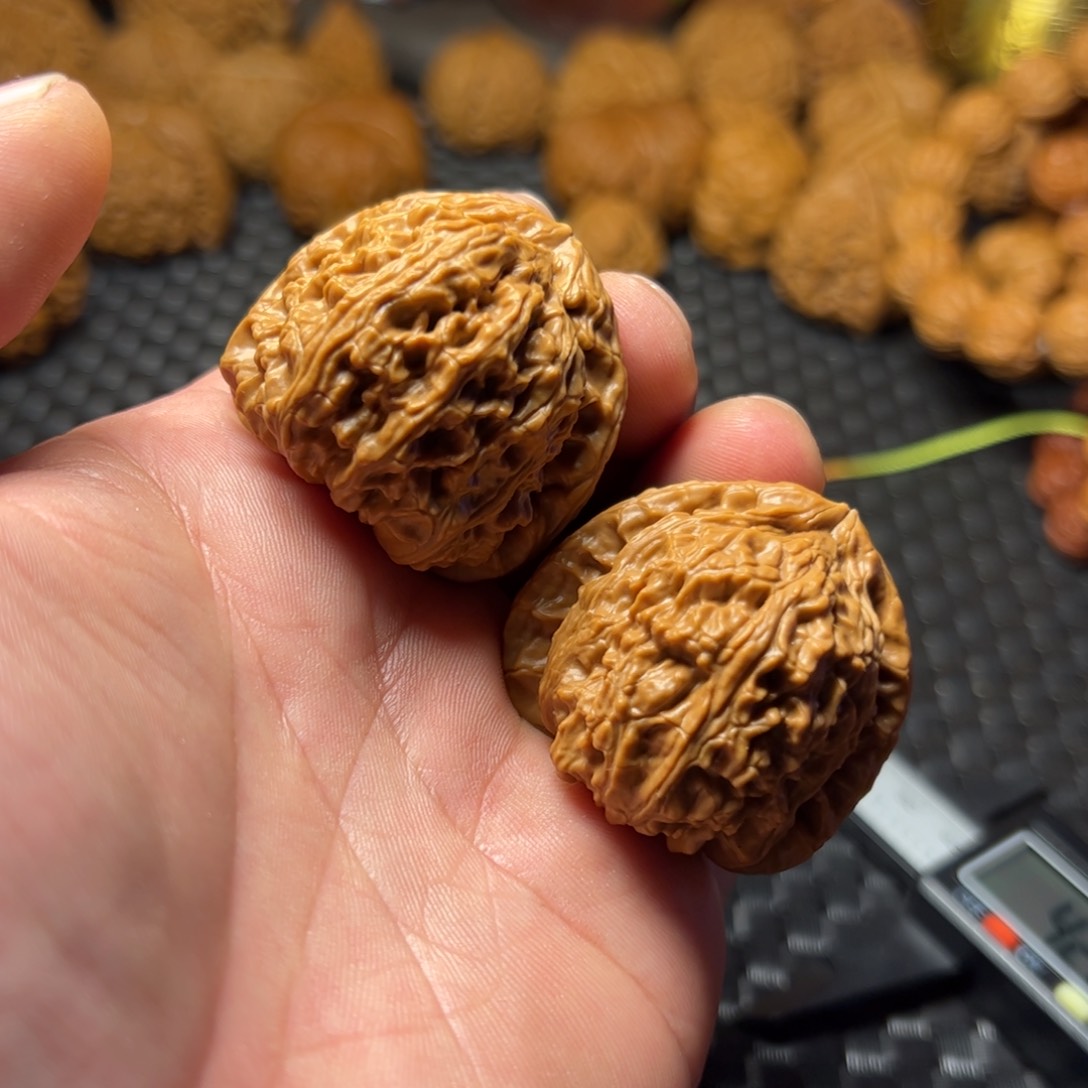 文玩核桃手串白狮子尺寸39