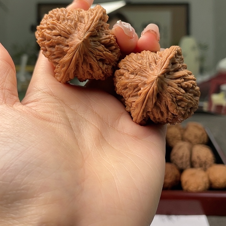 文玩核桃把件西*狼南疆