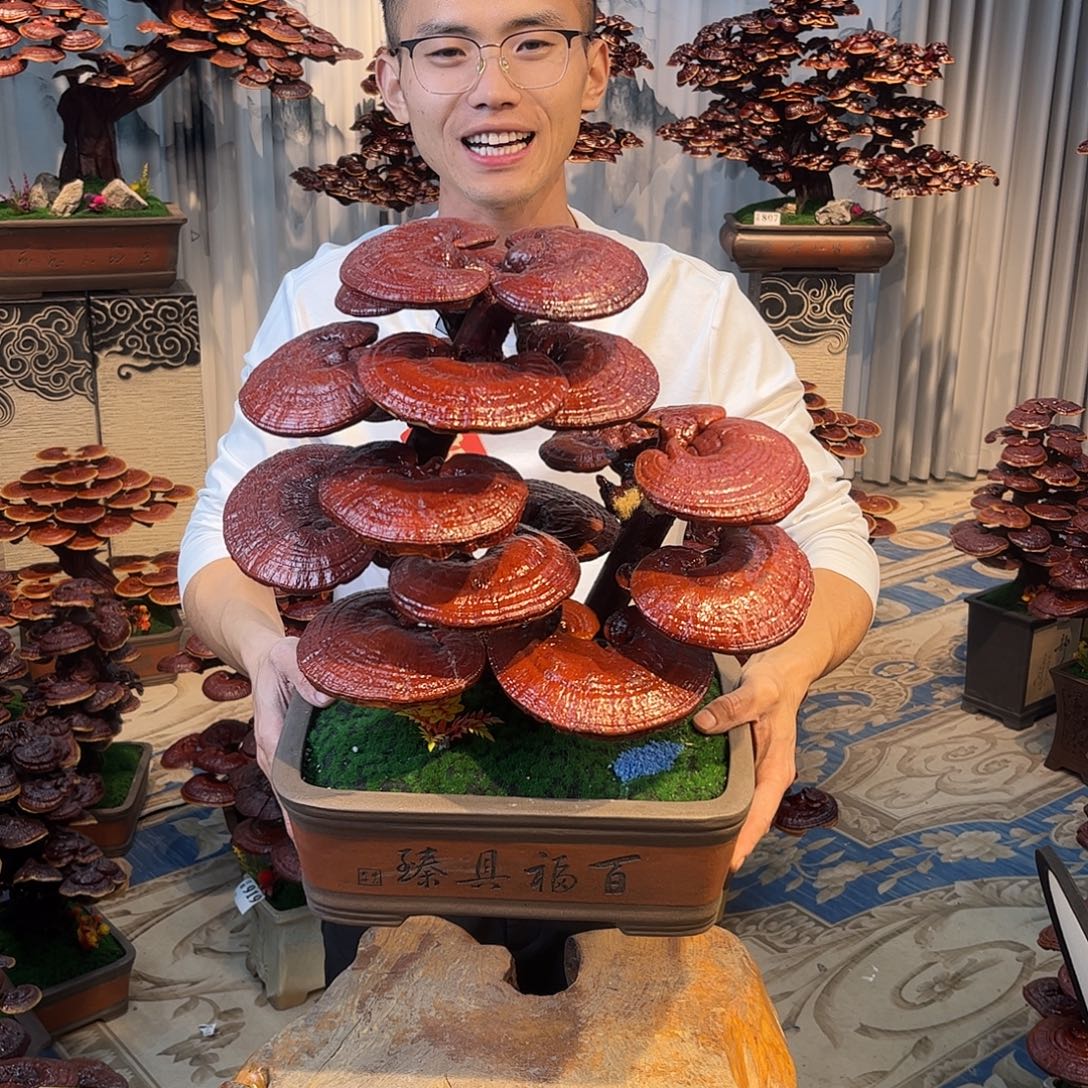 无花朵8888888888888