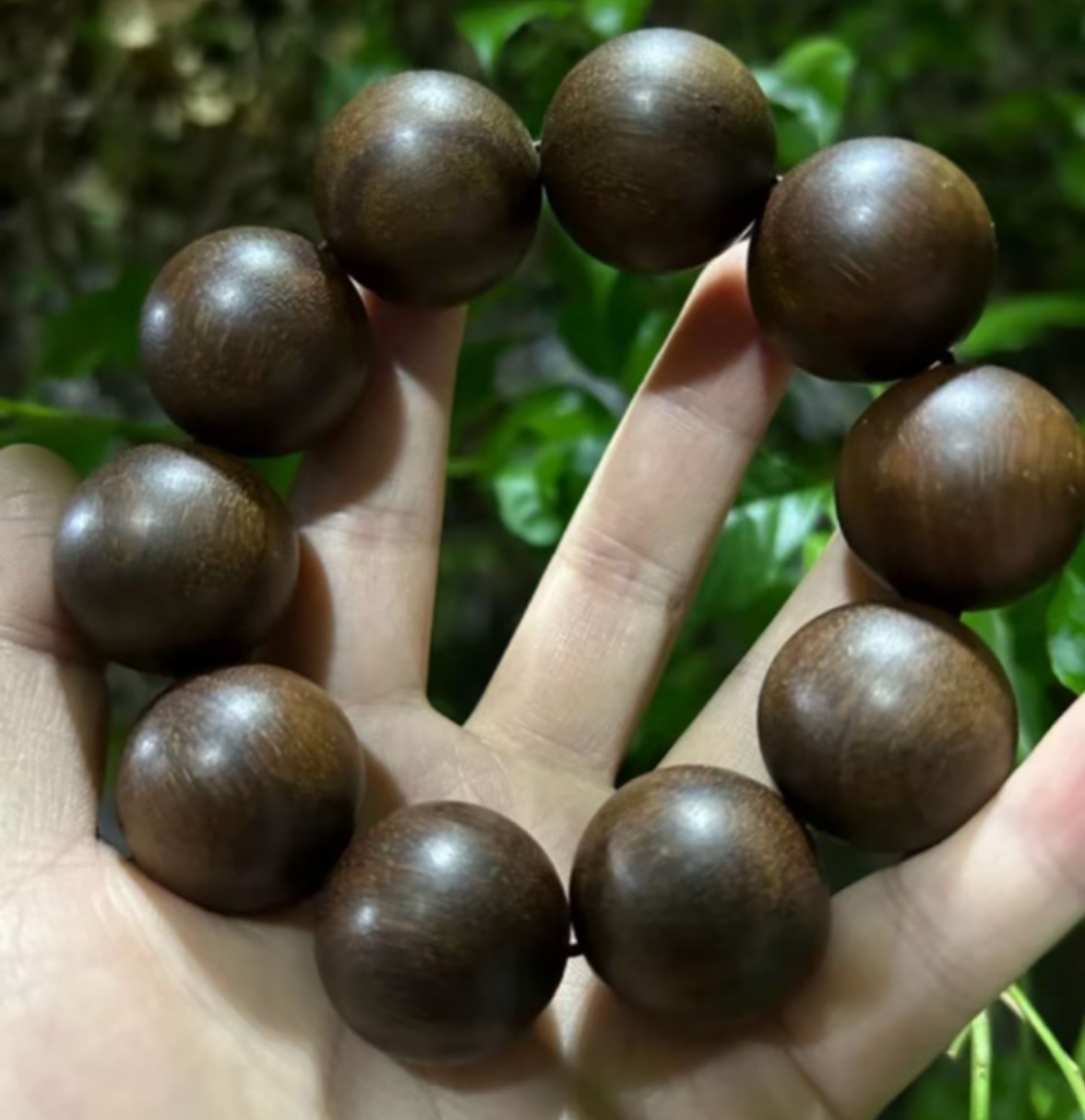 富【现收好物】95g 可搭配枸杞